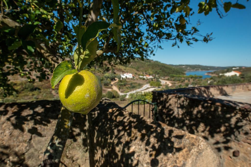 Aldeia do Mato  Quinta Da Eira Velhaゲストハウス エクステリア 写真